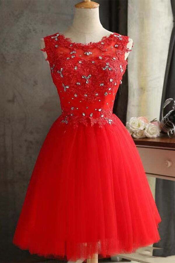 Illusion Scoop Neck, Sleeveless 3D Floral Bodice & Tulle A-Line Knee-Length Skirt