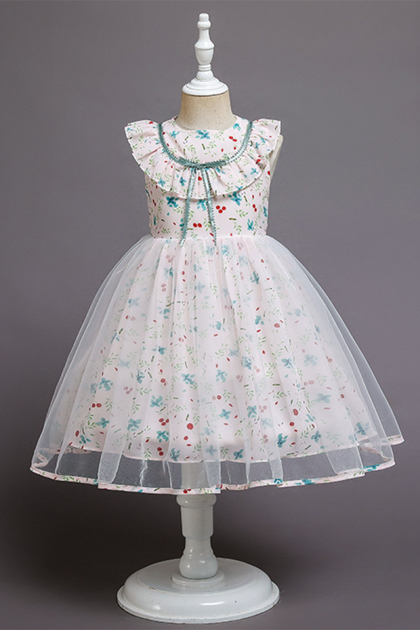 Floral Print Tulle Dress with Ruffled Collar and Sleeves
