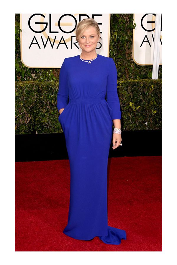 Amy Poehler Royal Blue Long-sleeve Formal Evening Dress Golden Globes 2015