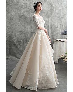 Half-Sleeve V-Neck Lace Ball Gown with Long Train for Formal Events