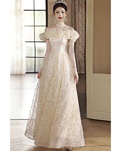 Starlit Whisper – Champagne Evening Dress