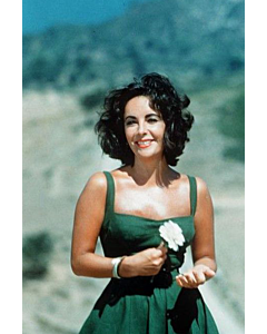 Timeless Grace – Square Neck Green Dress with Floral Detail Inspired by Elizabeth Taylor