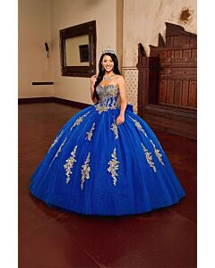 Golden Aurora – Royal Blue Princess Gown
