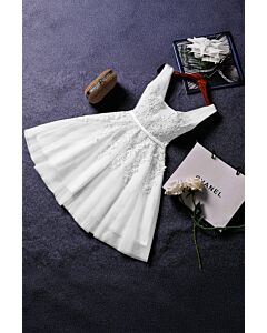 Moonlight Charm – Elegant Lace Dress