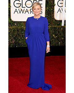 Amy Poehler Royal Blue Long-sleeve Formal Evening Dress Golden Globes 2015