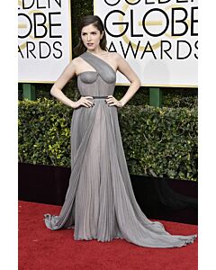 Anna Kendrick Grey One-shoulder Chiffon Formal Prom Dress Golden Globes 2017