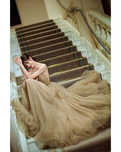 Elaine Zhong Chuxi Inspired Champagne Tulle Celebrity Formal Prom Dress with Pearls