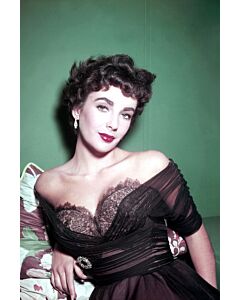 Elizabeth Taylor Inspired Black Lace Chiffon Tea-length Vintage 1950s Celebrity Dress