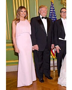 Blush Cascade – Melania Trump Pink Pleated Capelet Gown