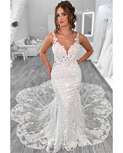 Lace V-Neck Mermaid  with Long Train for Formal Events