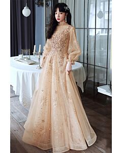 Elegant Champagne Gold Embroidered Tulle Gown with Sequin Detailing – Perfect for Special Occasions