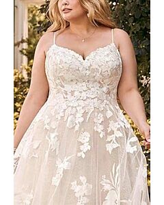 Sweetheart Neckline Lace Appliqué Tulle Ball Gown with Long Train for Formal Events