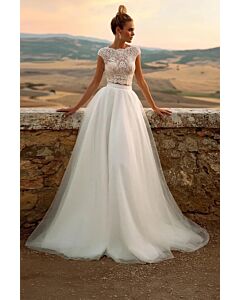 Lace Crop Top and Tulle Skirt Two-Piece Gown with Long Train for Formal Events