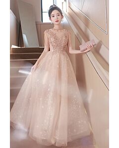 Glistening Nude Tulle Gown with Beaded Detailing and Starry Embroidery – Perfect for Formal Events and Galas