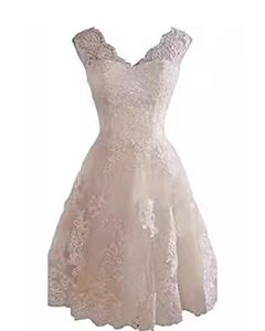 Lace V-Neck A-Line Dress with Flared Skirt for Formal Events