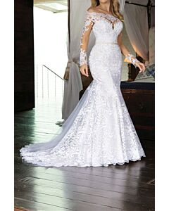 Lace  Shoulder Mermaid Gown with Long Train  Formal Events