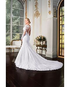 Long-Sleeve Lace Illusion Neckline Mermaid Gown with Long Train for Formal Events