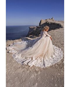 Lace Illusion Neckline Sleeve Tulle Ball Gown  Long Train for Formal Events