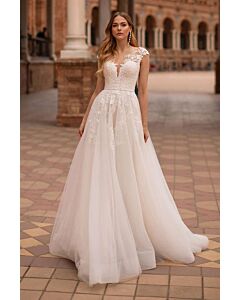 Lace Illusion Neck A-Line Gown with Long Train for Evening Events