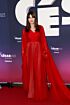 Monica Bellucci Inspired Red V-Neck Pleated A-Line Evening Gown - additional reference image 3