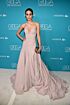 Emmy Rossum Inspired Blush V-Neck A-Line Evening Gown - main reference image