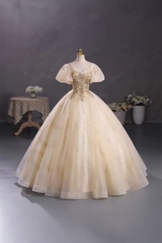 Celestial Glow – Champagne Embroidered Gown