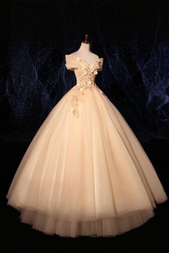 Moonlit Bloom – Champagne Embroidered Dress