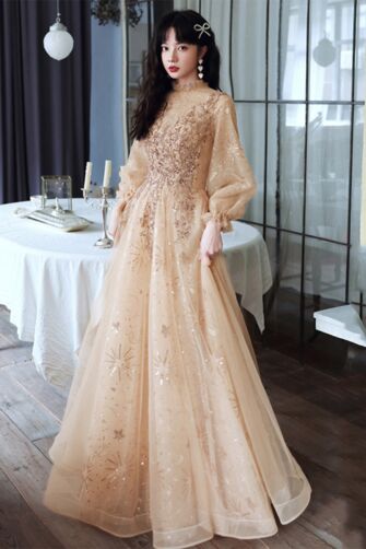 Elegant Champagne Gold Embroidered Tulle Gown with Sequin Detailing – Perfect for Special Occasions