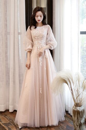 Ethereal Blush Lace Gown – Vintage-Inspired Tulle Dress with Embroidered Details & Puff Sleeves