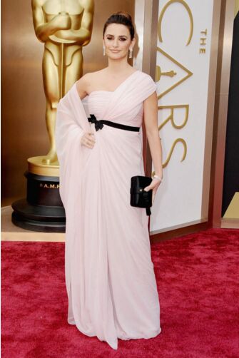 Penelope Cruz Pink One-shoulder Chiffon Formal Prom Celebrity Dress Oscars 2014