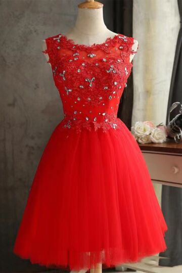 Illusion Scoop Neck, Sleeveless 3D Floral Bodice & Tulle A-Line Knee-Length Skirt
