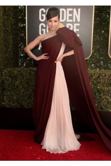 Sofia Carson Inspired Burgundy and Pink Formal Prom Dress Golden Globes 2021