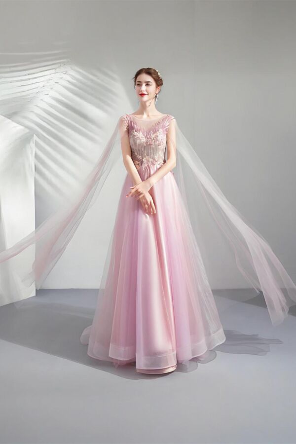 Blush Symphony – Elegant Embroidered Dress