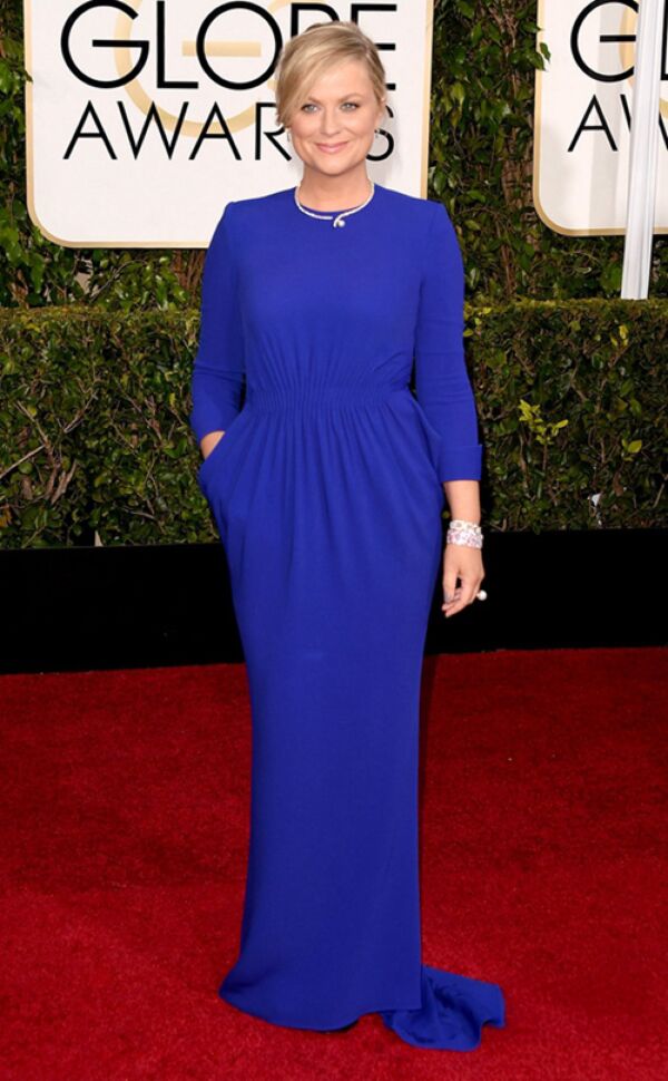 Amy Poehler Royal Blue Long-sleeve Formal Evening Dress Golden Globes 2015