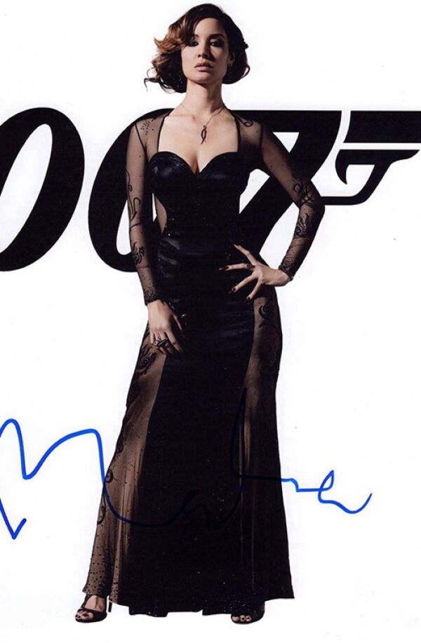 Sevérine Black Sheer Mesh Evening Gown Skyfall James Bond Girl